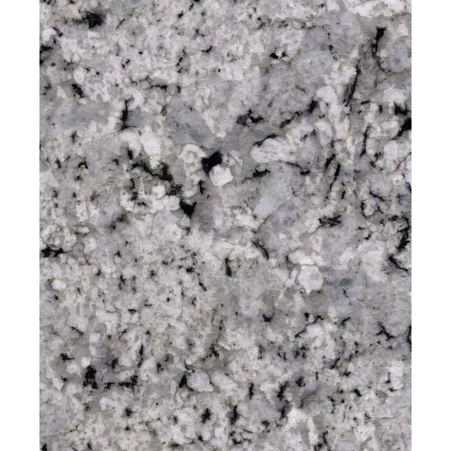 Palladium White G841 Countertop