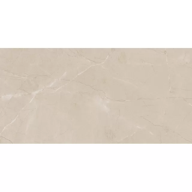 Elegant Beige PT22 Wall Tile