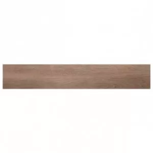 Ecollection48 Madagascar Nut