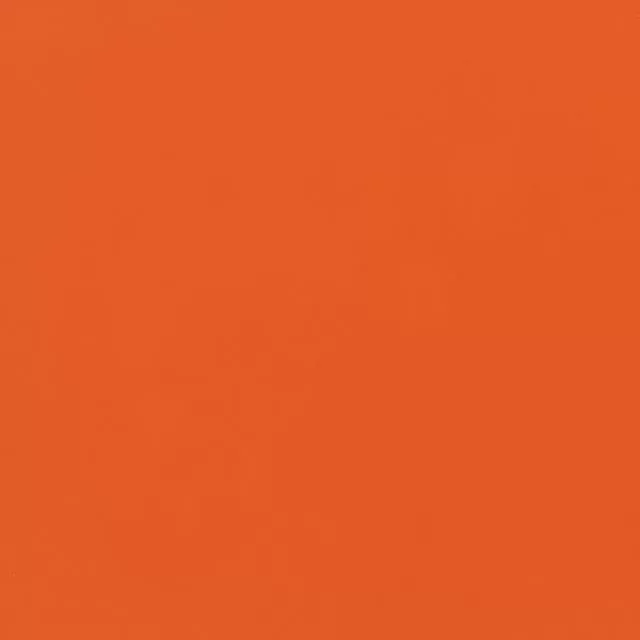 Orange Burst