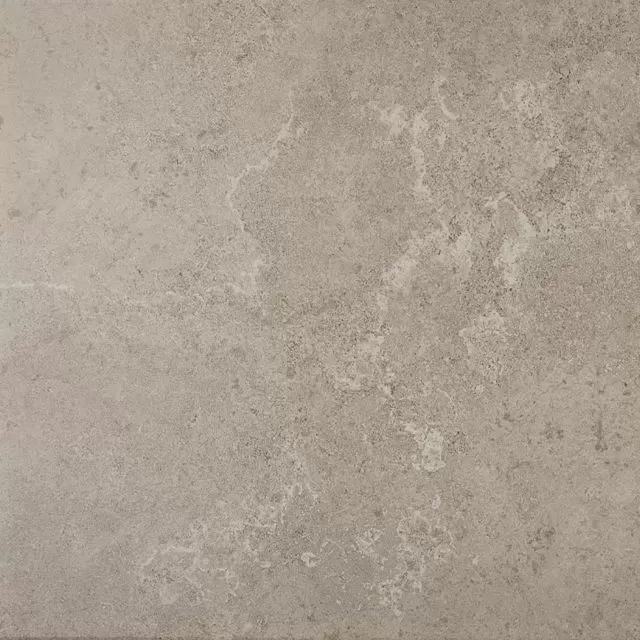 Renoir Grey