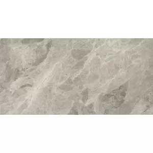 Polished Phantasie Gray Floor Tile