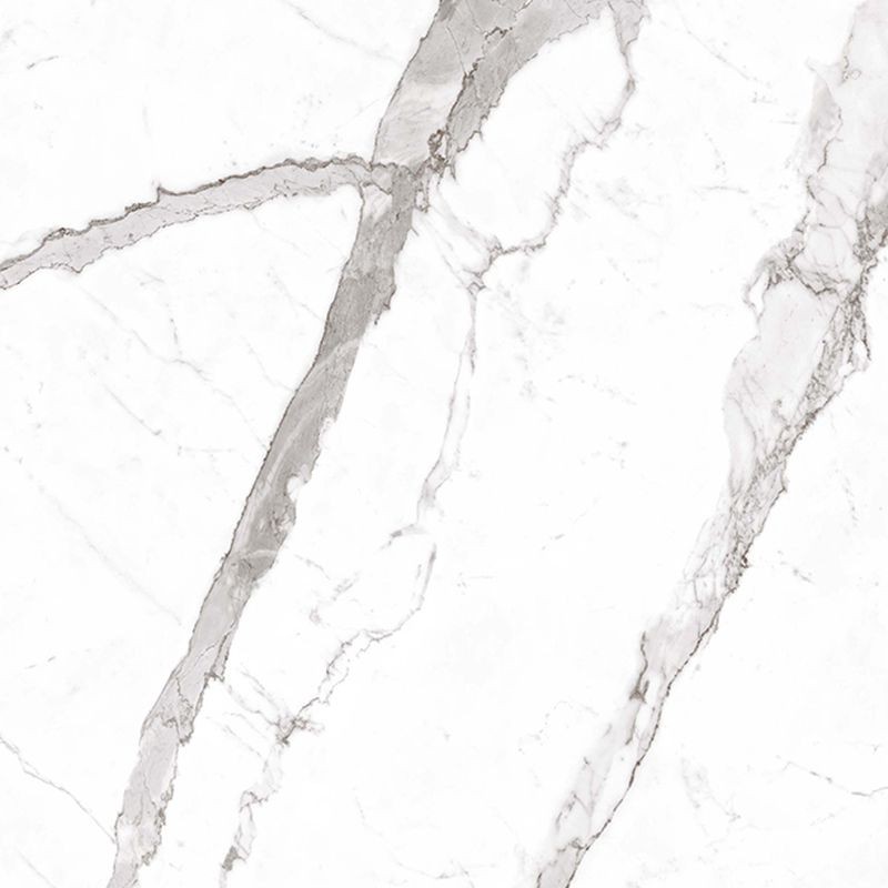 Where to buy Statuario Altissimo, Porcelain tile by Casalgrande Padana.
