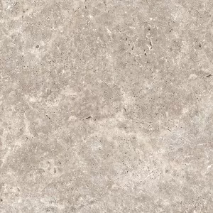 Trav Silver Floor Tile