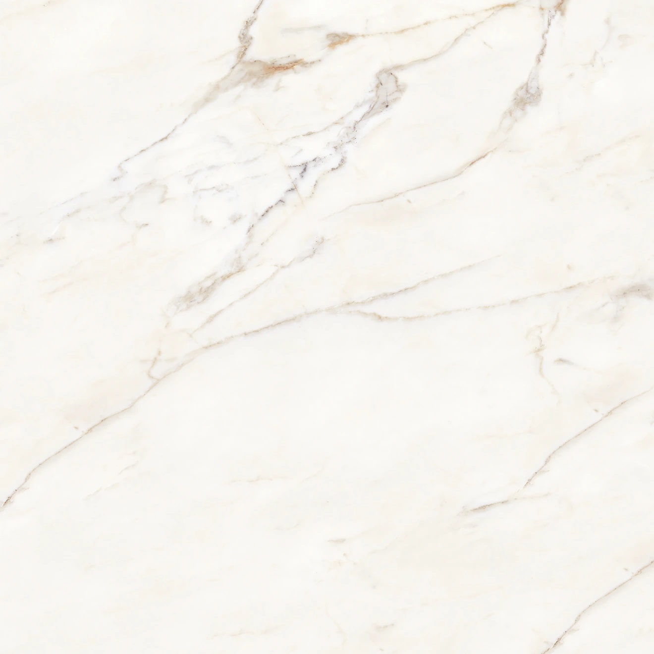 Where to buy Polished Calacatta Oro, Porcelain countertop by Bedrosians ...