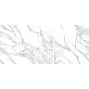 Statuario Lunensis JW 12 Vein Matching Kit Floor Tile