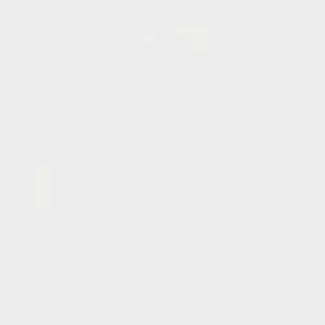 Extra White JW 19 Floor Tile