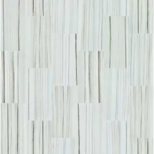 Zebrino Polished Floor Tile