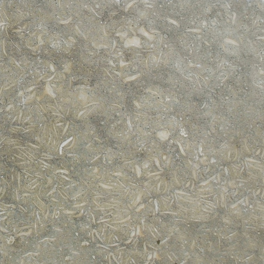 Seagrass Honed limestone stone Limestone collection by Architectural Surfaces in Stamford, CT