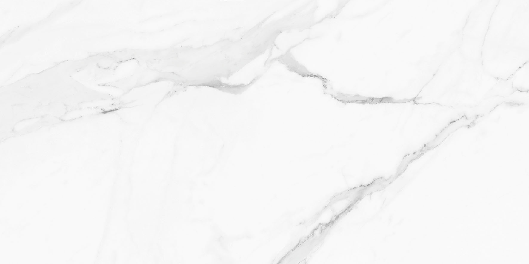 Where to buy Calacata White tiles by Pamesa Ceramica
