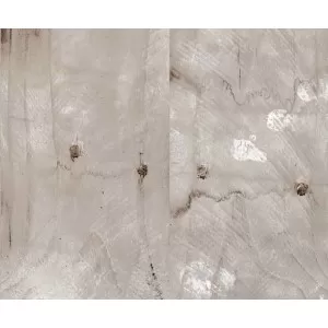 Beige Stamp Natural