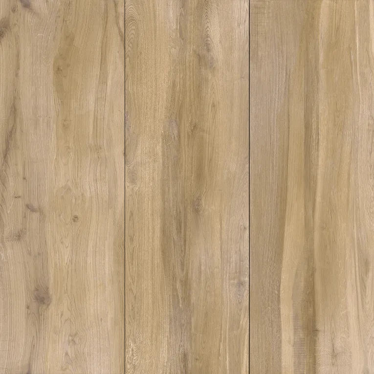 Aequa Silva - porcelain (Anti-slip, Pavers, Exterior, 16x48) tile