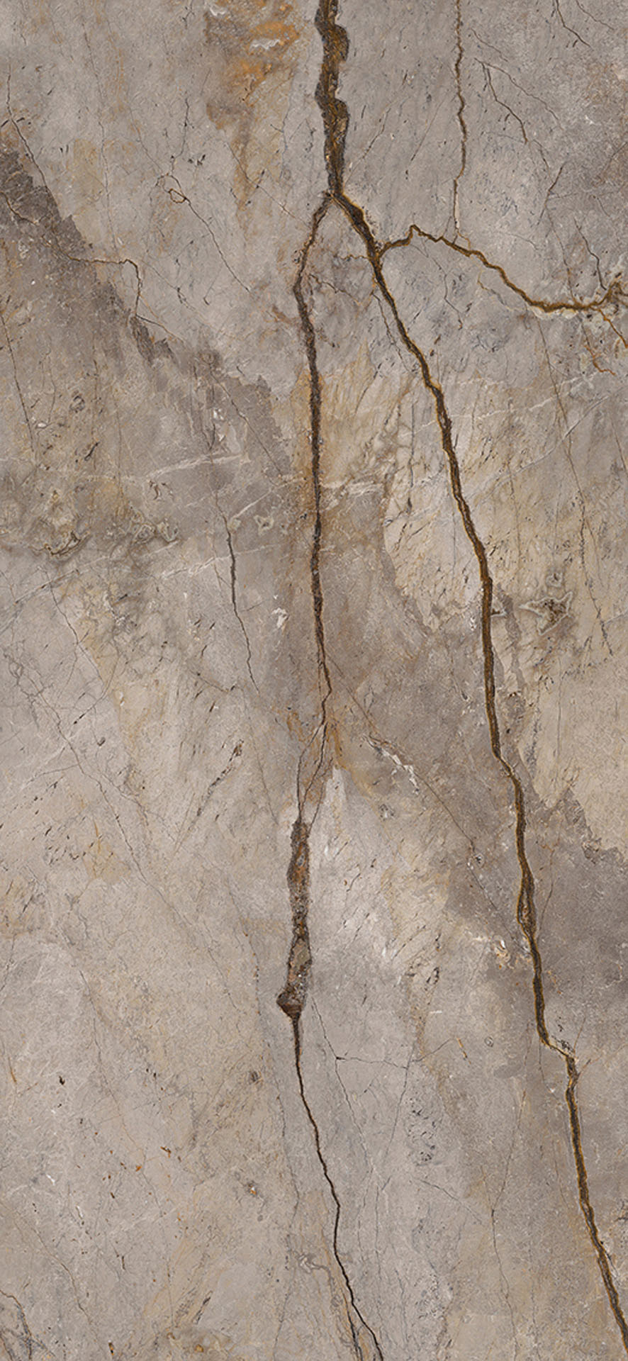 Wild Forest Grey Nat Mix - porcelain tile Wild Forest collection
