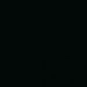 Colors Negro