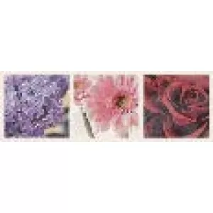 Inserto Flora B Wall Tile