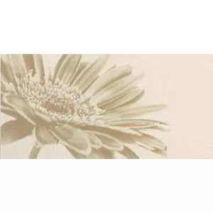 Nadir Vaniglia Musa Wall Tile