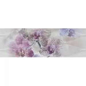 Orchideea Struktura 1