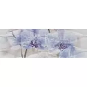 Orchideea Struktura 2