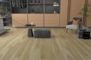 V-Evo XL Porcini 20 MIL