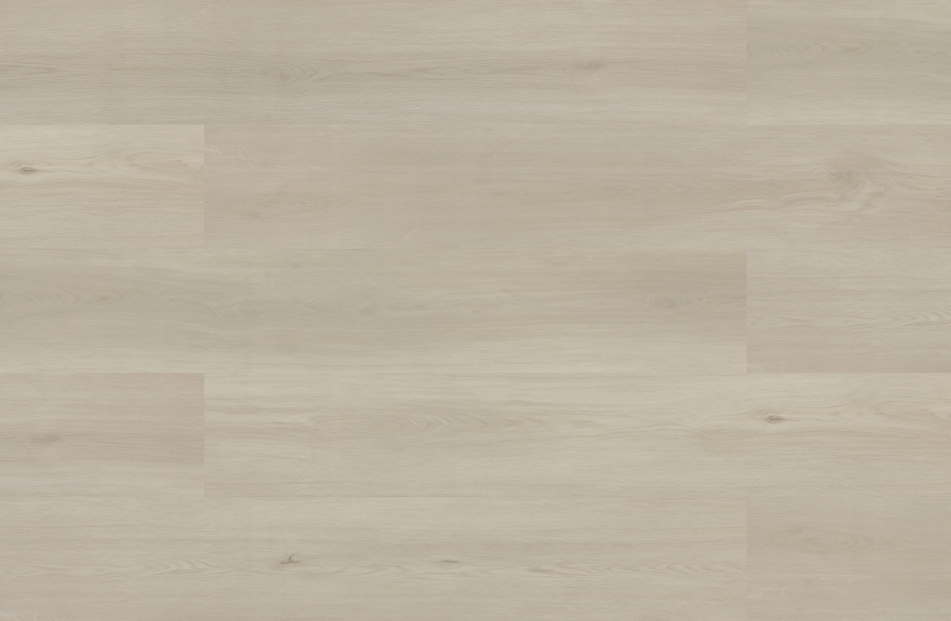 BELLEVUE CREAM BELLEVUE CREAM