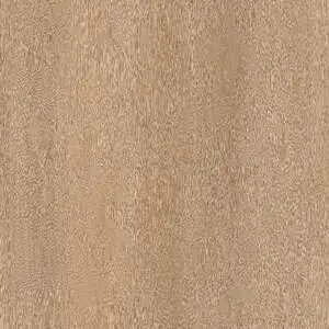 MOUNTAIN PINE