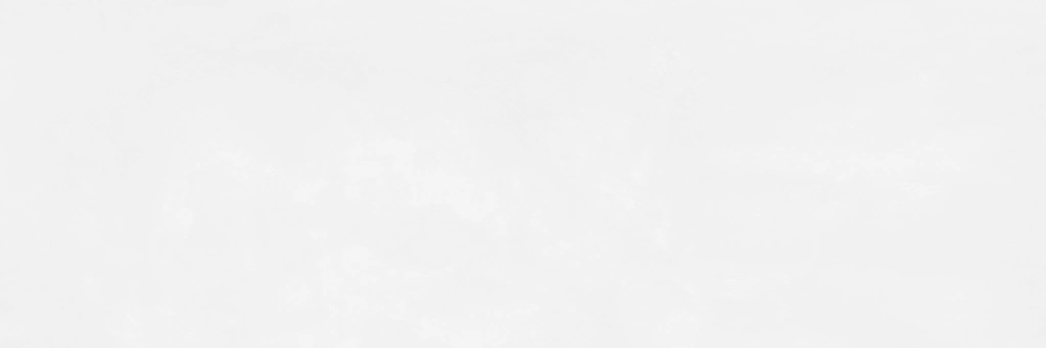 REV. INTERNI 40X120 CALCE