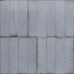 Botanical 2x8 Artic