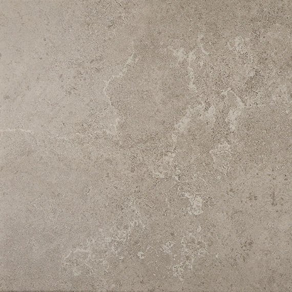Renoir Grey