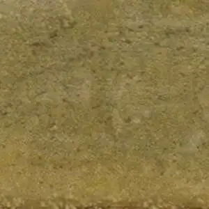 Brunei L25 Mango