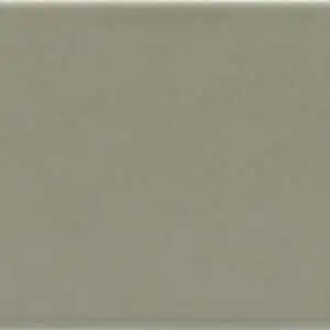 Costa Nova tansy green