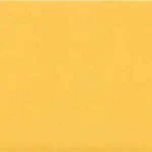 Costa Nova yelow matt