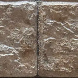 Brown Itaca