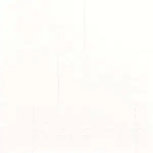 Arctic White Rectangle Circle