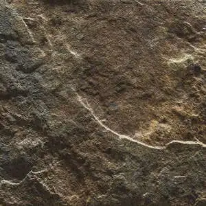 Volterra Brown