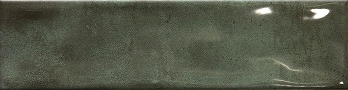 Brunei L25 Forest Brunei L25 Forest