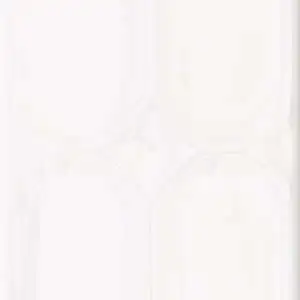 Mayas Arctic Station