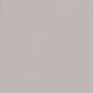 Mayas Sidewalk Matte