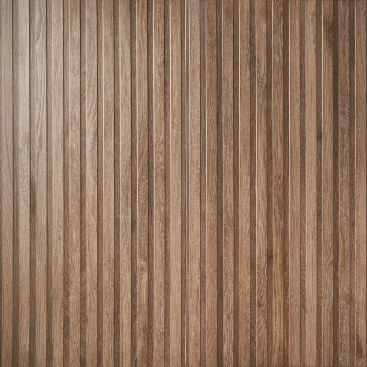 Haru Ribbon Roble 24x48 Matte Porcelain