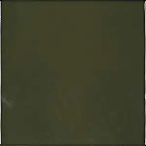 Matisse Foret Glossy