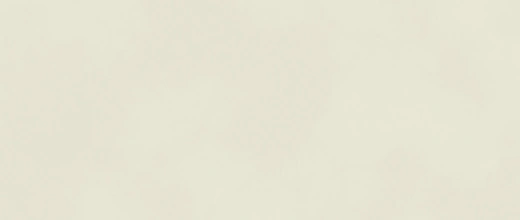 Expressions Salix Expressions Salix