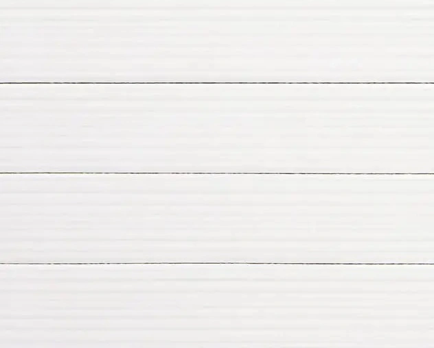 Dinte Plio 2x10 Glossy