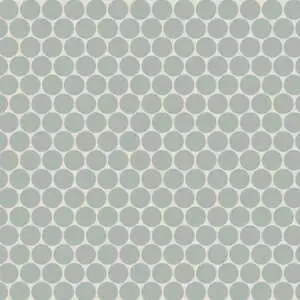 Penny Round Matte Porcelain Mosaic in Aloe Green