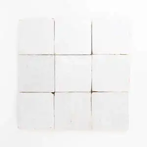 Zellige Evolution Desert Path