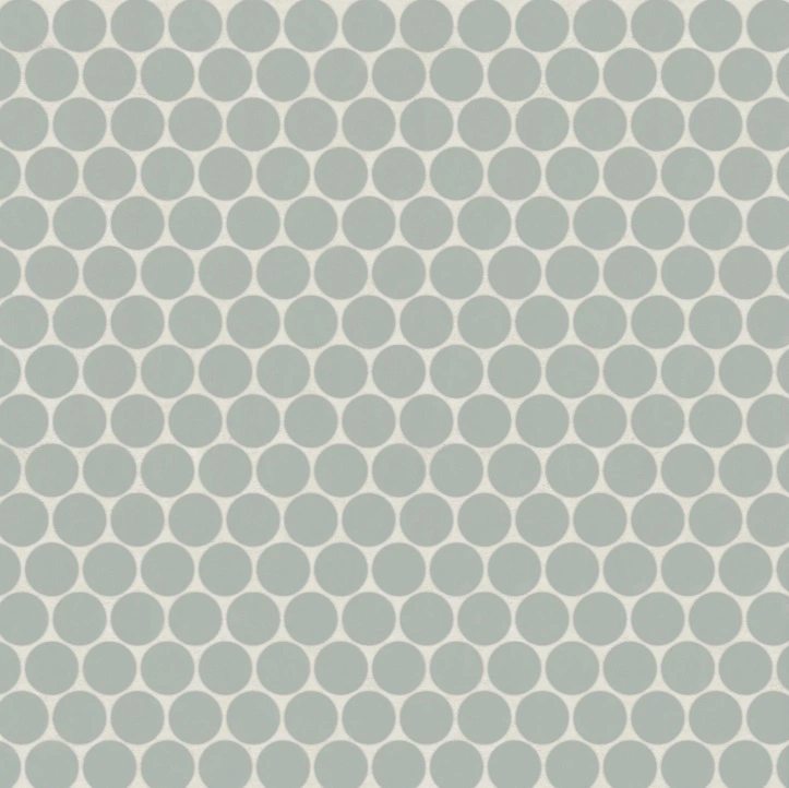 Penny Round Matte Porcelain Mosaic in Aloe Green