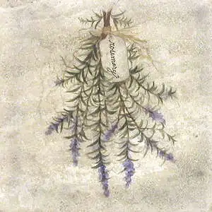 Rosemary