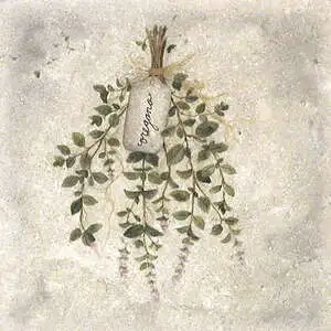 Oregano