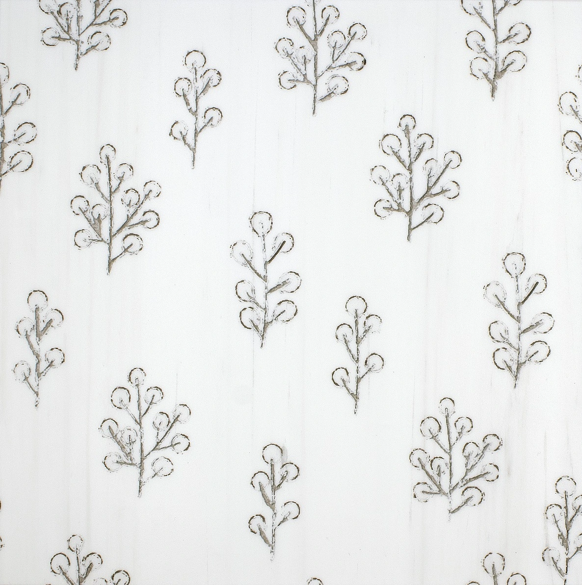 Birch White