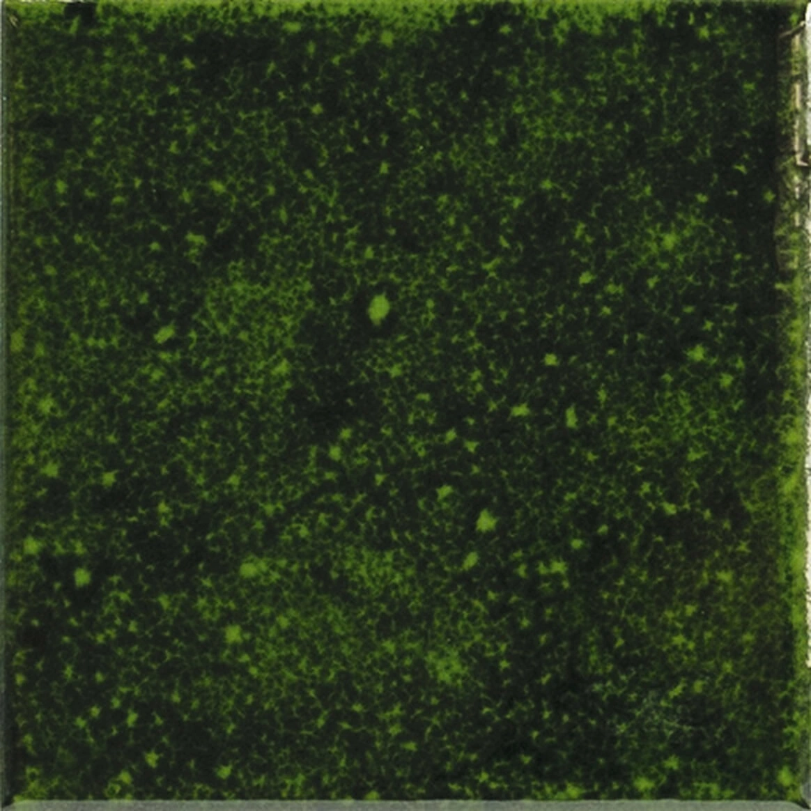 Genuine Emerald