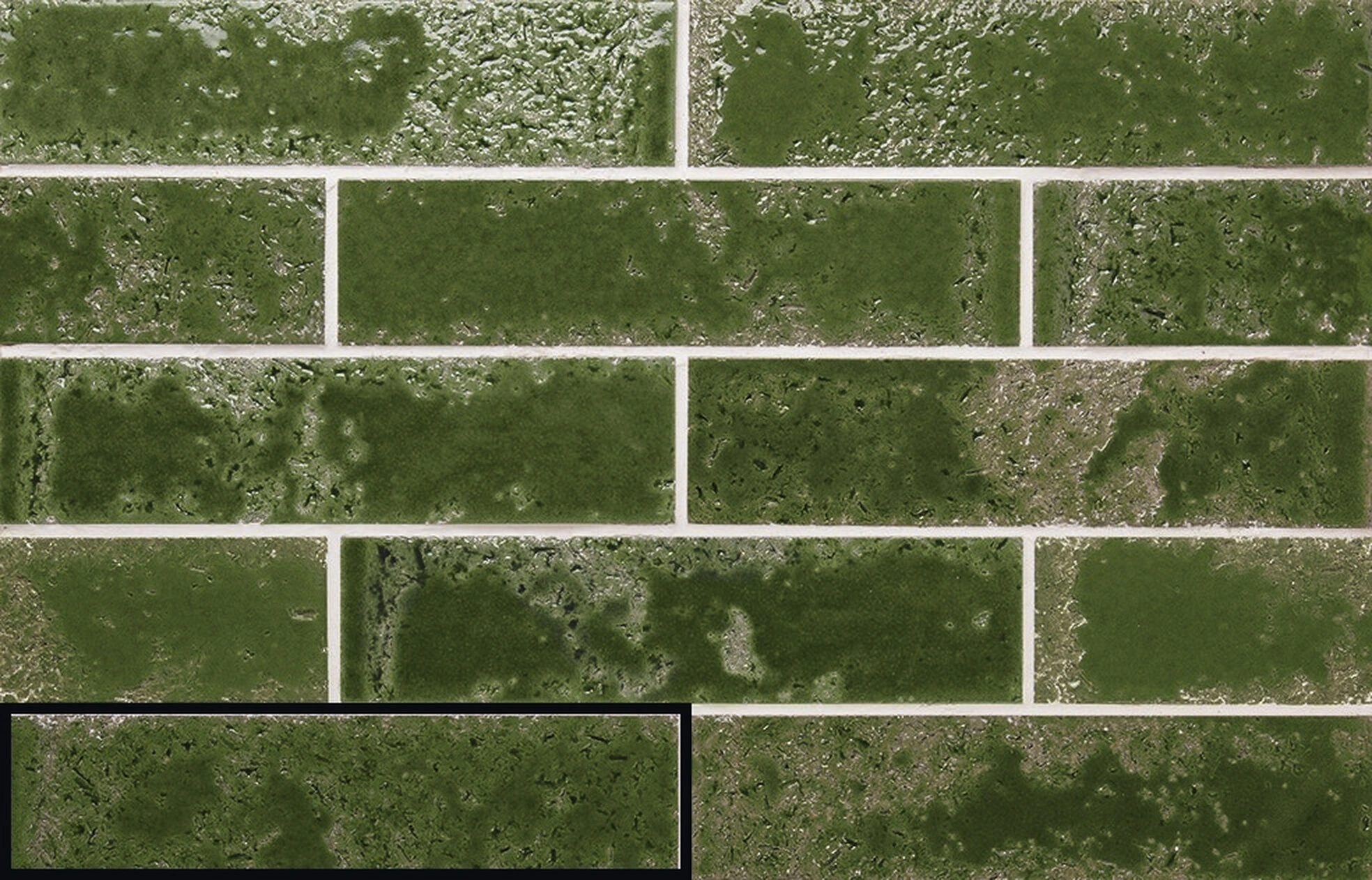 Pukka Crocodile Green