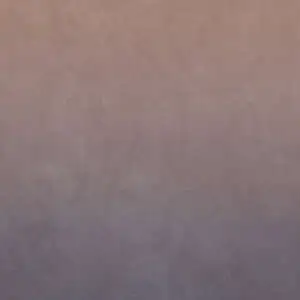 Dusk Spice